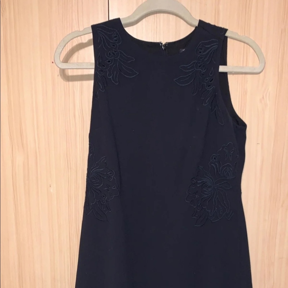 ann taylor dress size 4P